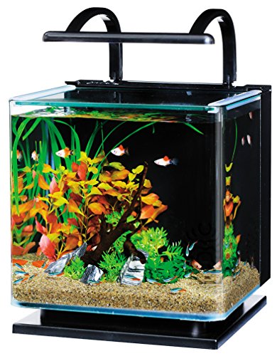 テトラ (Tetra) リビングキューブ 12 オールインワン水槽 淡水・海水用 (容量 約12L) ガラス 水槽 アクアリウム 熱帯魚 メダカ 金魚